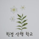 만3세 만4세 하루일상,만3세 만4세 하루일과,만3세 하루일과,만4세 하루일과,만3,4세 한결어린이집 하루일과 하루일상! 이미지