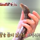 꼬다리김밥 이미지