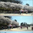 영상농장 이미지