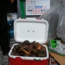 놀러와 펜션 이미지