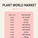 월드마켓