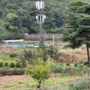 [경주 초롱별야영장] 1박2일 전세낸 우중캠핑