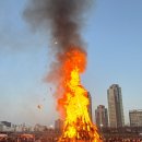 11650-17-139-8 | Feb. [딸기, 생일, 달짚태우기]