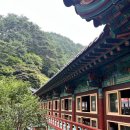 소백산자락길 제7코스 | 단양 가볼만한곳 구인사｜소백산 깊숙이 이런 절이 있다고? 대조사전까지 직접 올라가본 후기🪷