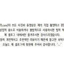 카페모모아쿠아플렌트