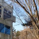 팔조령휴게소 이미지