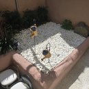 울산민박 이미지