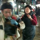 벌교매일시장 이미지