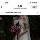 만다린 | 아이폰 스냅 계약후기(만다린 스냅 | 야외웨딩 아이폰스냅)