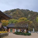 오어사 - 1880 | 오어사