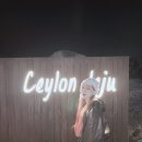 실론제주 이미지