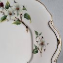 도그 블라썸 이미지