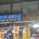 세양수산 | 🦐새우 구매기 ! 안산 농수산물시장 세양수산 다녀왔어요!! 🐟