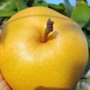 루니농장 이미지