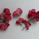 베스킨라빈스전주동산점 이미지