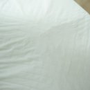 오도그 | 솔직후기 ) 오도그 배변패드 일반형 100매의 장점과 단점