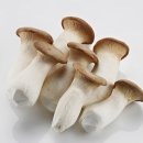 탄현식품 이미지