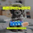 대학온누리약국 이미지