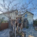 제주스테이 멀리 이미지