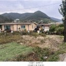 미리벌중학교 이미지