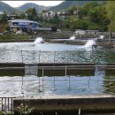 문곡송어회집 이미지