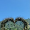 진안고원치유의숲 이미지