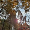 한국폴리텍 II 대학 남인천캠퍼스 이미지