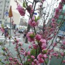 건지공원 이미지