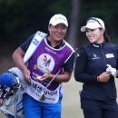 삼안로3R 이미지