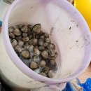 원투쓰리 이미지