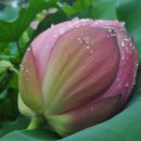 비오는날 수채화 이미지