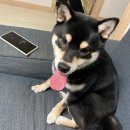 텐퍼센트커피김해율하2지구점