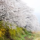 김유신장군로 이미지