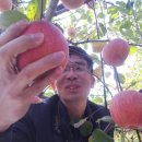 에덴농장 이미지