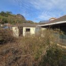 고현-0087 이미지