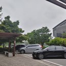 평화로운세상 이미지