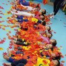 강남큰빛유치원 이미지