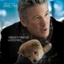 하치이야기 이미지