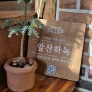 러븐 프로포즈 추천 성공담!(프로포즈 파티룸, 대구교동주얼리, 대구신월성꽃집, 대구달서구레터링케이크)