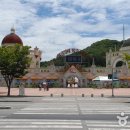 대전오월드 이미지