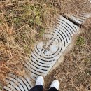 금강스포츠공원 | 대전 사회인야구 세종 연습용 경기장 금강스포츠공원