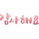 소나무를 품다 이미지