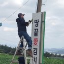 달마스테이 이미지