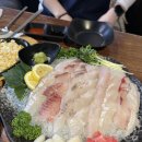 도연회포차 : 종로 가성비 횟집 내돈내산 후기