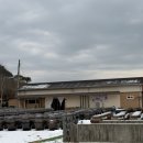 하미토미풀밭 이미지