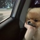 부평국민체육센터 3 이미지