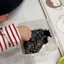 완도즉석김 이미지