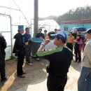 점말농장 이미지