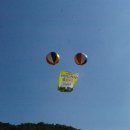 갈래초등학교 이미지