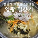 영광 불갑사 맛집 밀향기 솔직후기 : 해물칼국수 면이 대박